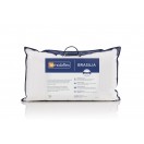 Molaflex Almofada Brasília