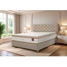 Molaflex Opulent